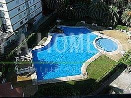 houses for rent in torre del mar