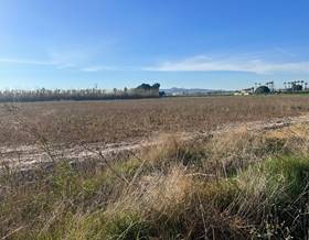 land sale almoradi el gabato by 130,000 eur
