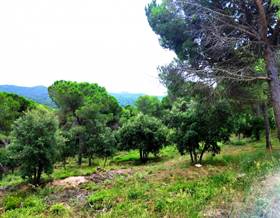 lands for sale in pineda de mar