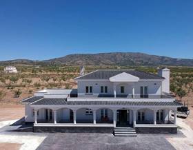 houses for sale in algueña