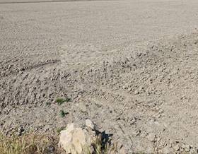 lands for sale in la galera