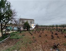 country houses for sale in monturque
