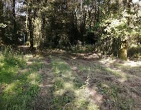 lands for sale in o porriño