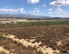 land sale monforte del cid espejeras by 45,000 eur