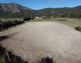 land sale islas baleares pollensa by 60,000 eur