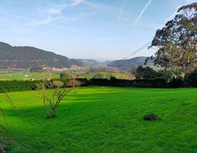 lands for sale in pravia