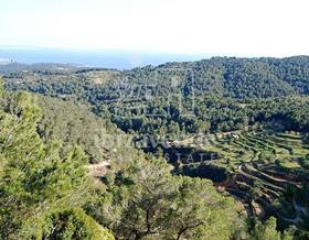 houses for sale in sant joan de labritja