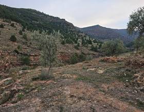 land sale fondon fondón by 65,000 eur