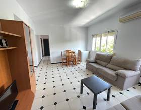 apartments for rent in sevilla