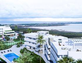 apartments for sale in los montesinos