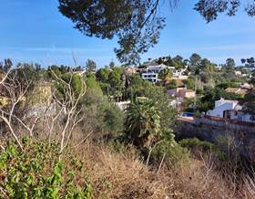 lands for sale in pedreguer