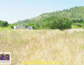 rustic property sale alcudia by 60,000 eur