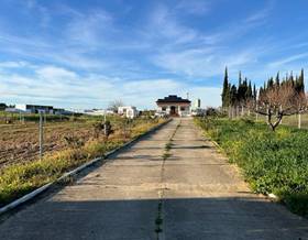 lands for sale in villalba del alcor