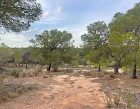lands for sale in l´ alfas del pi