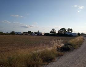 land sale elche elx elche by 44,000 eur