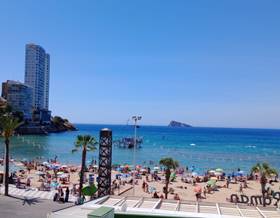 flat sale benidorm 1ª linea by 650,000 eur