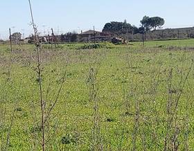 land sale badajoz puebla de sancho perez by 60,000 eur
