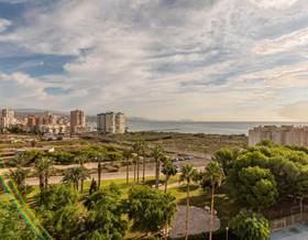 apartments for rent in arenales del sol