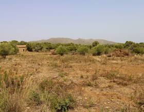 land sale islas baleares arta by 350,000 eur
