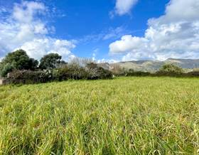 villas for sale in font de sa cala