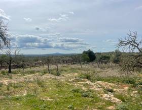 villas for sale in buger