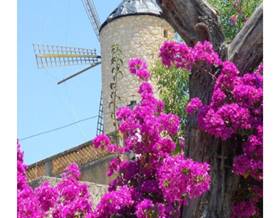 premises sale capdepera noreste by 650,000 eur