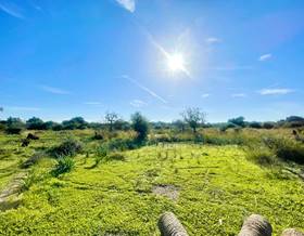 villas for sale in llubi