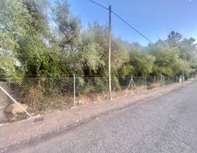 lands for sale in mallorca islas baleares