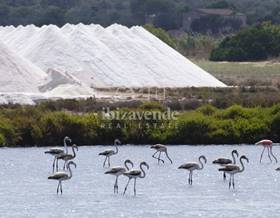 land sale ses salines by 1,200,000 eur