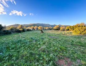 lands for sale in capdepera