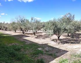 land sale valencia ontinyent by 11,000 eur