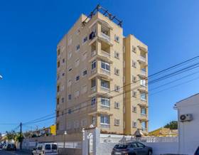 apartments for sale in san miguel de salinas
