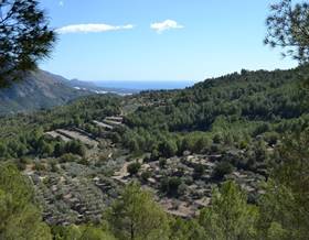 land sale guadalest by 19,000 eur