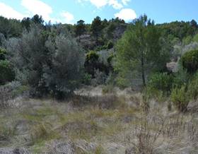 lands for sale in parcent