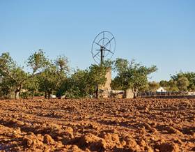 lands for sale in santa eulalia del rio
