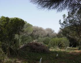 lands for sale in zahora