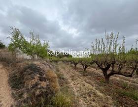 land sale albaida albaida by 32,000 eur
