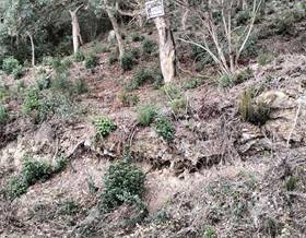 lands for sale in pineda de mar