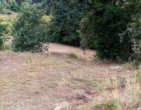 lands for sale in tui