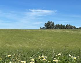 lands for sale in niebla