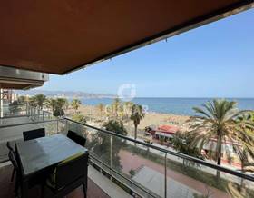 apartments for rent in malaga province