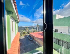 apartments for rent in las palmas de gran canaria