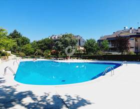apartments for rent in norte madrid