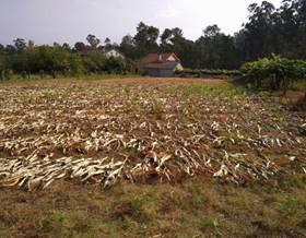 land sale pontevedra resto provincia by 59,000 eur