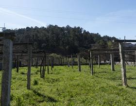 lands for sale in pontevedra province