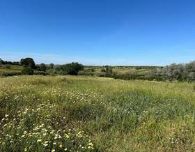 lands for sale in bonares