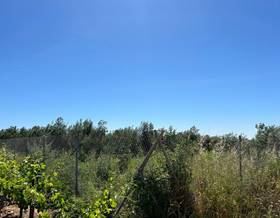 lands for sale in huelva province