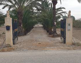 houses for sale in orihuela