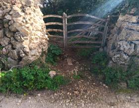 land sale alaior by 65,000 eur
