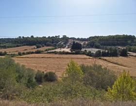 lands for sale in caimari